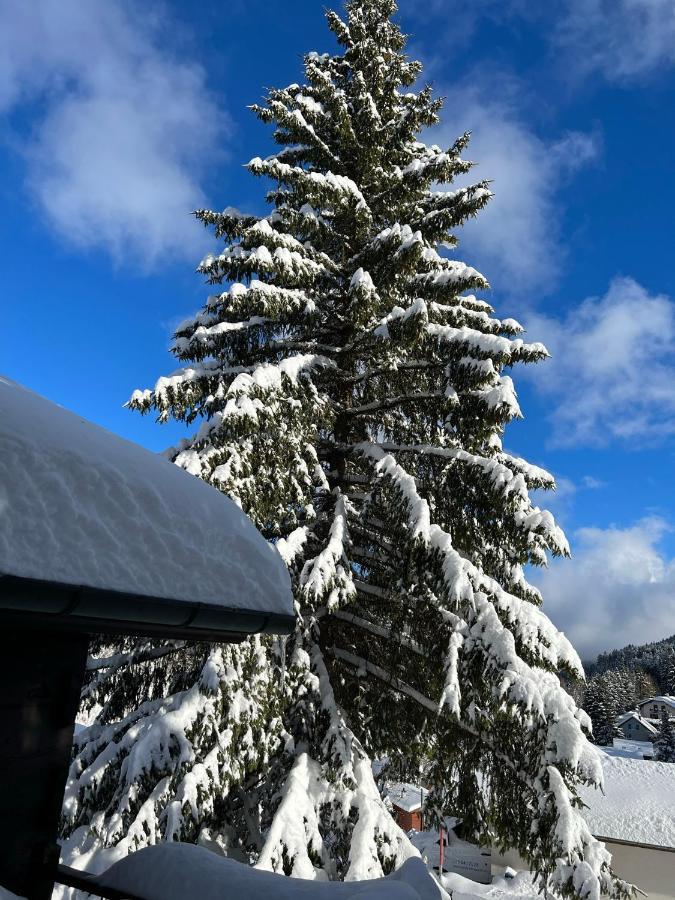Entire Cozy Chalet In St-Cergue - 30 Min From Geneva แซงต์แซก ภายนอก รูปภาพ